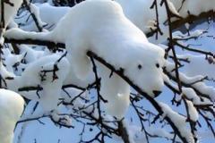 Έρχονται τα πρώτα... χιόνια στα τέλη της εβδομάδας