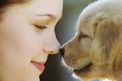 Τα δικαιώματα των... Ζώων