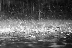 Συνεχίζονται οι βροχές και καταιγίδες και την Τετάρτη - Πτώση της θερμοκρασίας