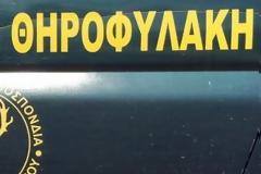 Τον τσάκωσαν με το λαγό στα χέρια