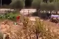 Δεν παραιτείται ο δημοτικός σύμβουλος Παγγαίου που βασάνισε τον σκύλο του