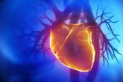 Άσκηση και μεσογειακή διατροφή 