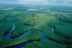 Αφρικανικές χώρες και χορηγοί προστατεύουν τα τροπικά δάση του Κονγκό