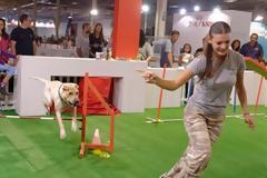 Γιορτάστε την Παγκόσμια Ημέρα των Ζώων