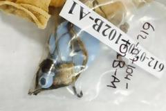 Συγκλονιστικό! Βρέθηκαν τα οστά του μικρότερου αγνοούμενου της Κύπρου - Η πιπίλα του βρέφους και η τύχη της οικογένειάς του