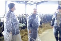 Η οζώδης δερματίτιδα χτύπησε την Καβάλα - Παραμένει σε καραντίνα η Ξάνθη για την νόσο