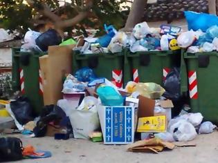 Φωτογραφία για Ηλεία: Ανυπόφορη η κατάσταση με τα σκουπίδια - Άτακτες χωματερές παντού
