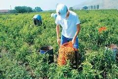 Οι ανατροπές για όλους τους αγρότες