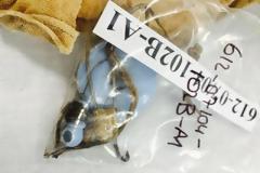 «Βρέφος 6 μηνών, ο νεότερος εκ των αγνοουμένων του οποίου ανακαλύφθηκαν τα οστά»