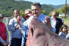 Όταν ένας τεράστιος καρχαρίας ... εμφανίστηκε στη λίμνη του Λάδωνα [video]