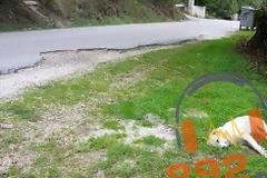 Γέμισε νεκρά σκυλιά η Ηγουμενίτσα - Αναζητείται υπεύθυνος για την απομάκρυνση των ζώων