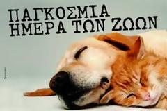 Παγκόσμια Ημέρα των Ζώων - Το μήνυμα και οι δράσεις του Δήμου Αγρινίου