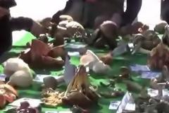 Επιδόθηκαν στο κυνήγι μανιταριών σήμερα στην 1η Γιορτή Μανιταριού στην Καλαμπάκα [video]