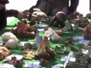 Φωτογραφία για Επιδόθηκαν στο κυνήγι μανιταριών σήμερα στην 1η Γιορτή Μανιταριού στην Καλαμπάκα [video]