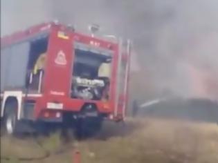 Φωτογραφία για Φωτιά σε αγροτική έκταση στον Δήμο Τοπείρου – Απειλήθηκε κτηνοτροφική μονάδα