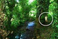 Η φωτογραφία που έχει αναστατώσει τους χρήστες του διαδικτύου - Τι είναι αυτό που φαίνεται;