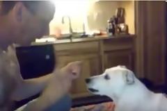 Δείτε και μείνετε: Το μαγικό κόλπο ενός άνδρα και η τρομερή αντίδραση του σκύλου του...  [video]