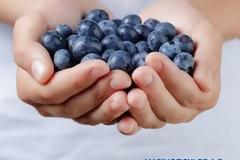 Η Μαρινόπουλος Α.Ε. εκδίδει τον 5ο Απολογισμό Βιώσιμης & Υπεύθυνης Ανάπτυξης βάσει των διεθνών οδηγιών G4 του  Global Reporting Initiative