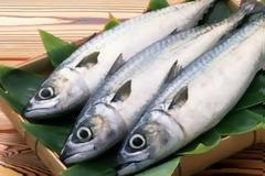 Πόσες μέρες μένουν φρέσκα τα ψάρια και πώς πρέπει να τα καταψύχουμε;