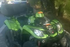 ΣΟΚ: Μητέρα και παιδί έπεσαν με γουρούνα σε γκρεμό