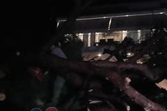 ΧΑΜΟΣ από την κακοκαιρία: Σοβαρές ζημιές από ανεμοστρόβιλο στον Πύργο [photos]