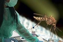 Στο έλεος της χολέρας το Ιράκ