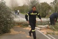 Δυτική Ελλάδα: Πλημμύρες, εγκλωβισμοί και κοπές δέντρων