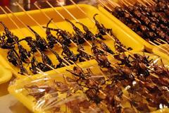 Πεινάτε; Καλλιεργείστε και φάτε μυγάκια λέει η Κομισιόν