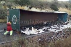 Πήγε να αποφύγει τα διόδια με καταστρεπτικά αποτελέσματα