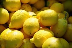 Μπήκαν σε αγρόκτημα και άρπαξαν 100 κιλά λεμόνια