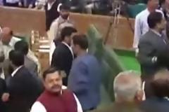 Αγριο ξύλο στη Βουλή της Ινδίας για μια... αγελάδα