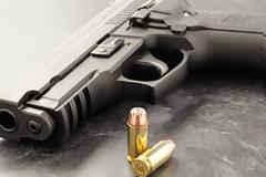 Βοιωτία: Χειροπέδες σε 26χρονο που πυροβόλησε και σκότωσε σκύλο