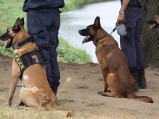 Φωτογραφία για Οι τετράποδοι φύλακες του νόμου: Γνωρίστε τους σκύλους της Αστυνομίας
