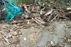 Τρόμος στο Καστρί Πρέβεζας. Δέντρο έπεσε πάνω σε 65χρονο που οδηγούσε μηχανάκι [photos]