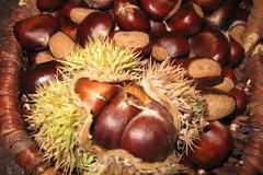 Έκλεψαν 120 κιλά  ... κάστανα