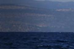 ΣΟΚ: Κουκουλοφόροι με ταχύπλοο επιτέθηκαν εν πλω σε φουσκωτές βάρκες με πρόσφυγες
