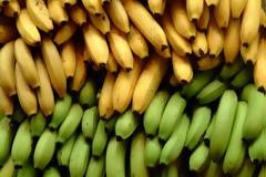 Μέχρι τώρα έτρωγες εντελώς λάθος τις μπανάνες - Δες ποιος είναι ο σωστός τρόπος