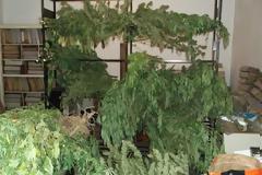 Βίντεο για τη σύλληψη 60χρονου για παραβάσεις των νόμων περί ναρκωτικών, όπλων και αρχαιοτήτων