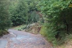 Πληγές άφησε πάλι πίσω της η πρωινή πλημμύρα σε όλο σχεδόν το ορεινό δίκτυο του Ν. Καρδίτσας [video]