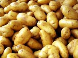 Φωτογραφία για Πως οι Έλληνες γνώρισαν τα «γεώμηλα» ...δηλαδή την πατάτα