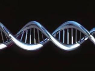 Φωτογραφία για Δεκάδες ακόμα γονίδια βρέθηκαν να συνδέονται με τη γήρανση
