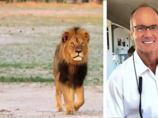 Φωτογραφία για Τη γλύτωσε ο οδοντίατρος που σκότωσε το λιοντάρι Σέσιλ