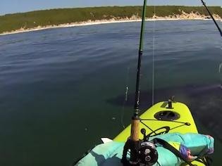 Φωτογραφία για Ένας λευκός καρχαρίας επιτίθεται σε δύο άντρες με καγιάκ στην Καλιφόρνια (video)