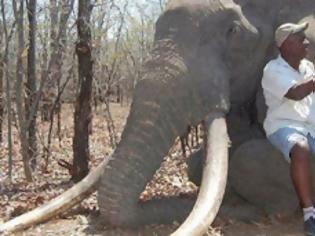 Φωτογραφία για Λαθροθήρες σκότωσαν με κυάνιο 22 ελέφαντες στη Ζιμπάμπουε
