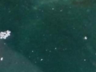 Φωτογραφία για ΣΟΚ! Σκοτσέζος φωτογράφισε, τυχαία, μυστηριώδες θαλάσσιο πλάσμα στην Κέρκυρα [photos]