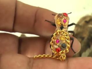 Φωτογραφία για Τρομακτική τάση! Ζωντανά σκαθάρια φοριούνται ως κοσμήματα! [video]