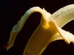Φωτογραφία για Μην πετάτε τη φλούδα της μπανάνας - Δείτε πώς θα την αξιοποιήσετε!