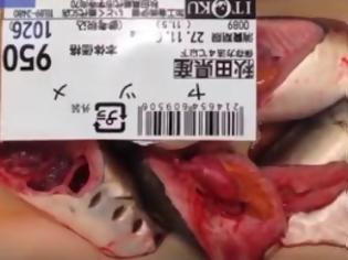 Φωτογραφία για ΑΠΙΣΤΕΥΤΟ: Αγόρασε τόσο φρέσκο ψάρι που η καρδιά του ακόμα... χτυπούσε! [video]
