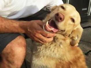 Φωτογραφία για Aπίστευτο: Xαμένος σκύλος επέστρεψε μετά από 2 χρόνια στην “οικογένεια” του [photos]
