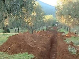 Φωτογραφία για Φθιώτιδα: Εργολάβος έσκαψε τα χωράφια τους και ξερίζωσε ελιές - Ανάστατοι οι ιδιοκτήτες. [photo+video]